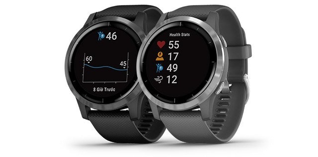 Đồng Hồ Garmin Vivoactive 4  4