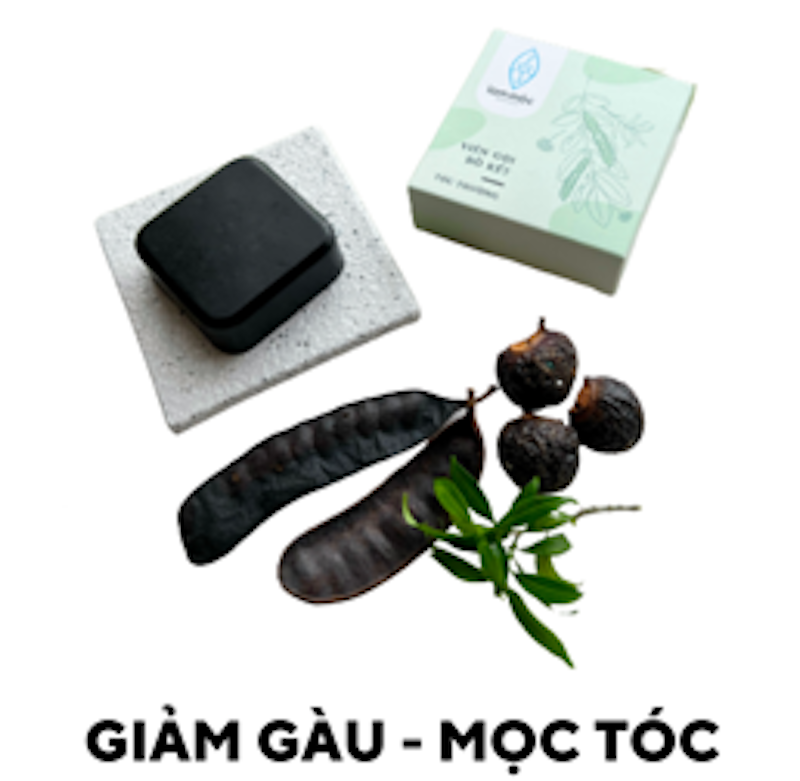 Dầu Gội Bồ Kết Lam Mộc Cho Tóc Nhờn 2