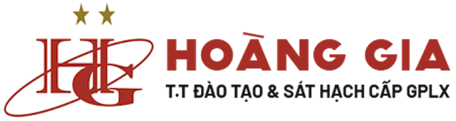 [2024] Top 10 Nơi Học Lái Xe Ô Tô tốt nhất tại TP. HCM (Hoàng Gia, Thành Công, Đồng Tiến) 3