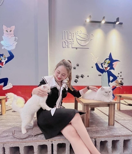 Cafe Mèo Mèo Cà Phê 2