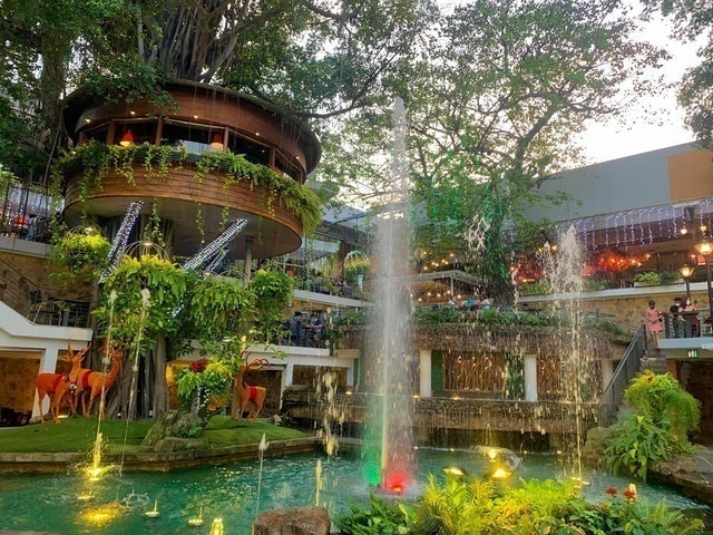 Du Miên Garden Coffee 2