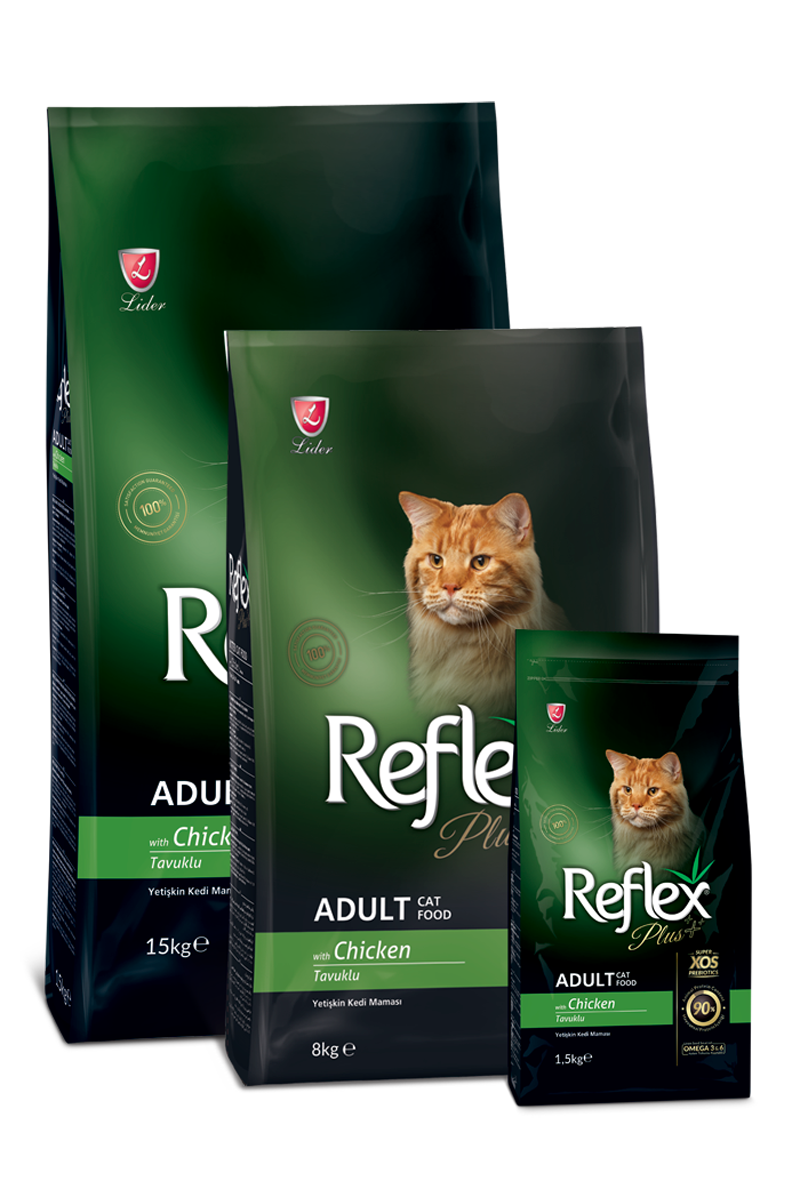 Hạt Cho Mèo Reflex Plus Kitten 2