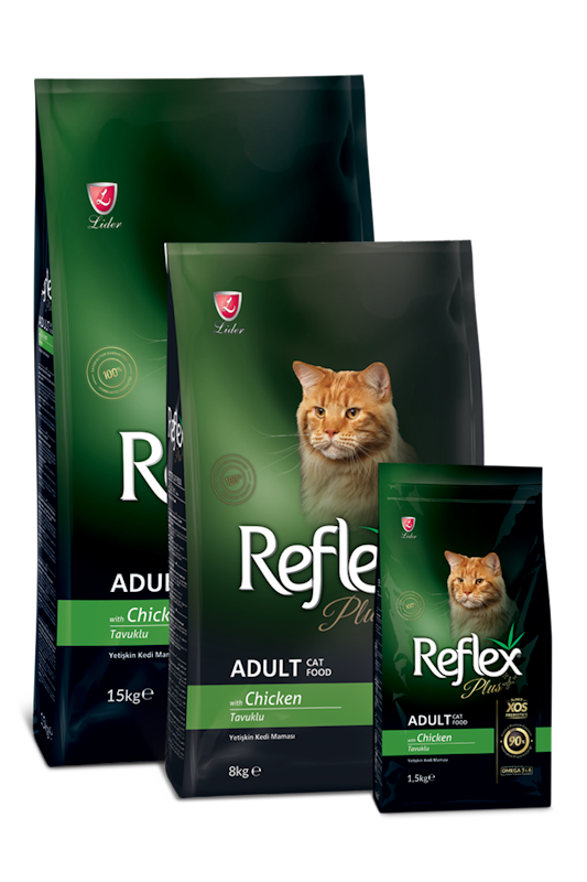 Hạt Cho Mèo Reflex Plus Kitten 2