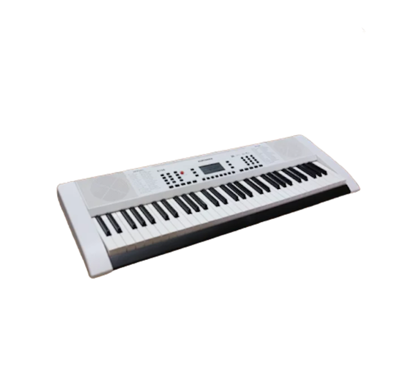 Đàn Organ Cho Bé Kurtzman 1