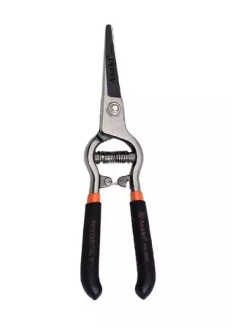 Kéo Tỉa Cây, Cắt Cành Asaki 1