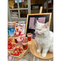 Bastet's Home Coffee
