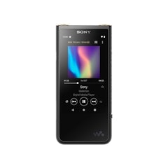 Walkman ZX Series