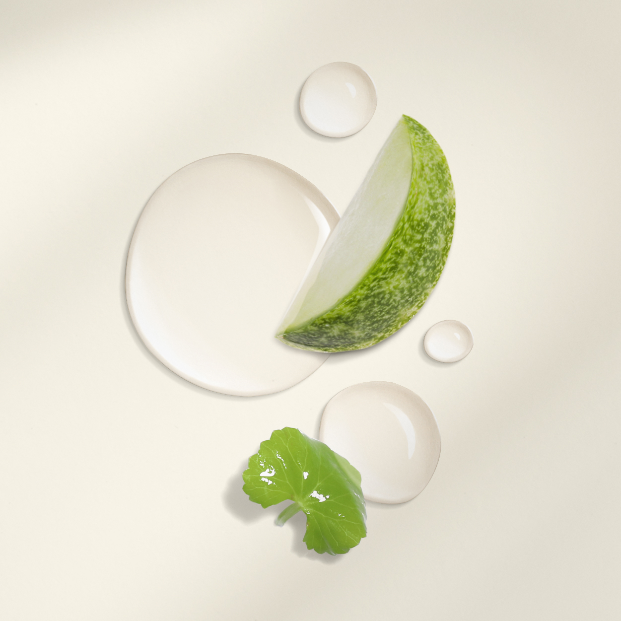Nước Bí Đao Cân Bằng Da Cocoon 2