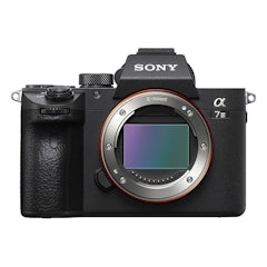 Alpha A7 III
