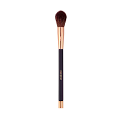Cọ Highlight Magnetic Brush Pro