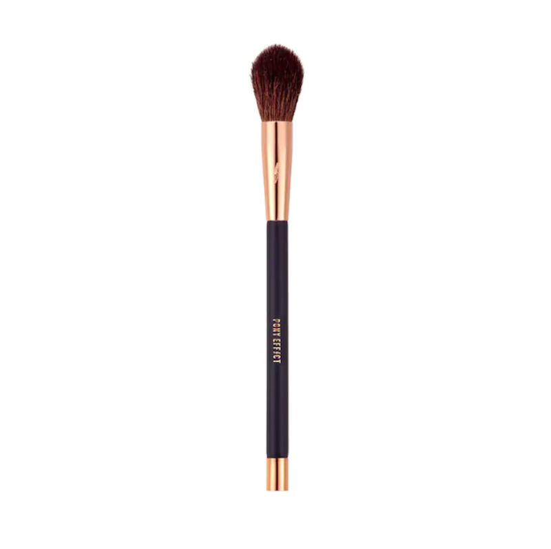 Cọ Highlight Magnetic Brush Pro 1