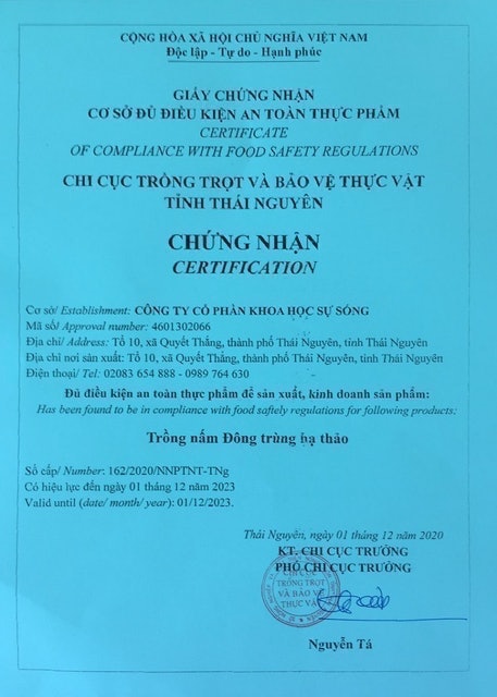 Đông Trùng Hạ Thảo CordyHappy Thượng Hạng 3