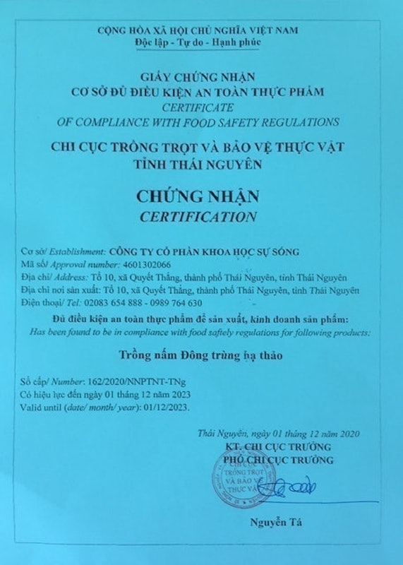 Đông Trùng Hạ Thảo CordyHappy Thượng Hạng 3