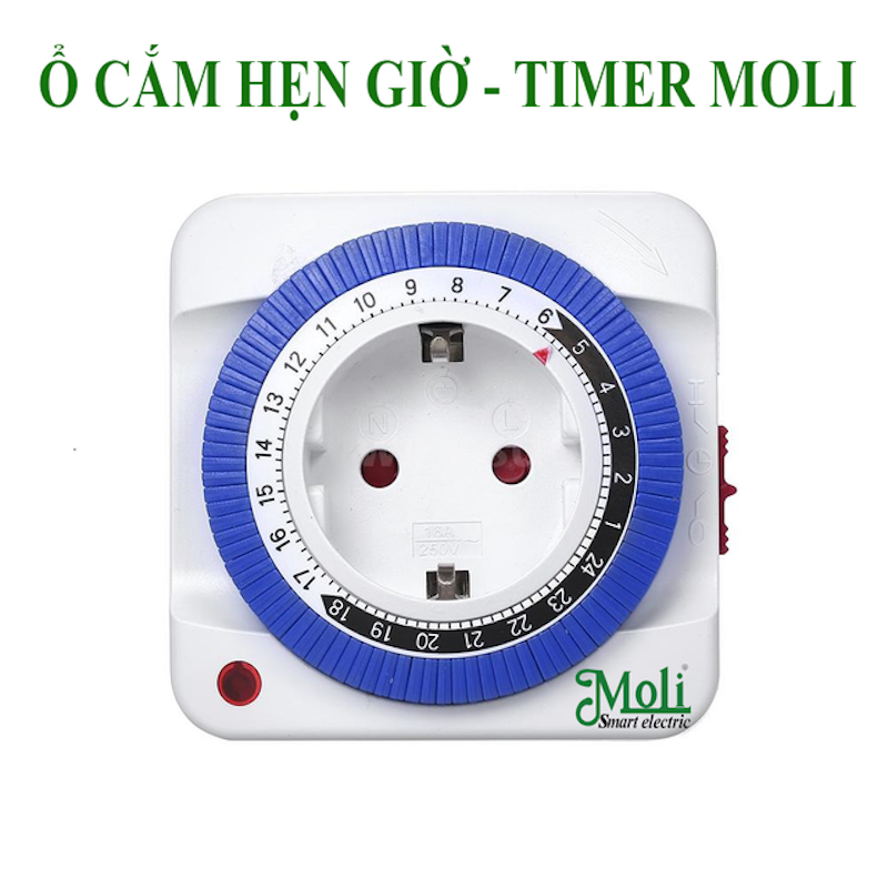 Ổ Cắm Hẹn Giờ Dạng Cơ Moli 1