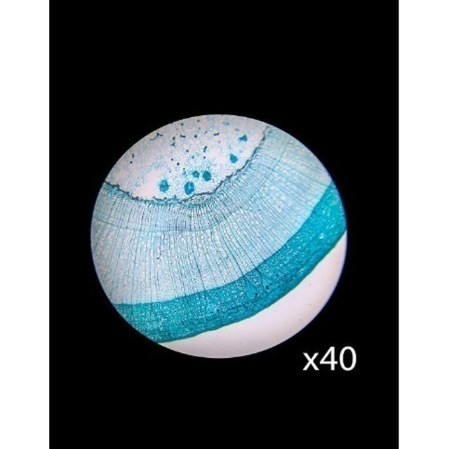 Kính Hiển Vi Barska  2