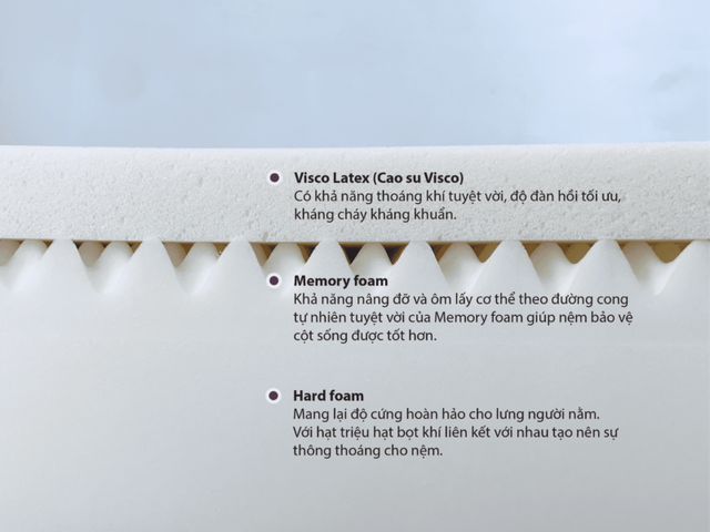 Nệm Cao su Memory Foam Cao Cấp Hàn Quốc Samick Cosy 3