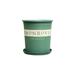 Chậu Hoa Monrovia