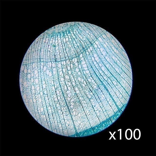 Kính Hiển Vi Barska  3
