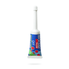 Gel Bôi Nhiệt Miệng aloclair Plus