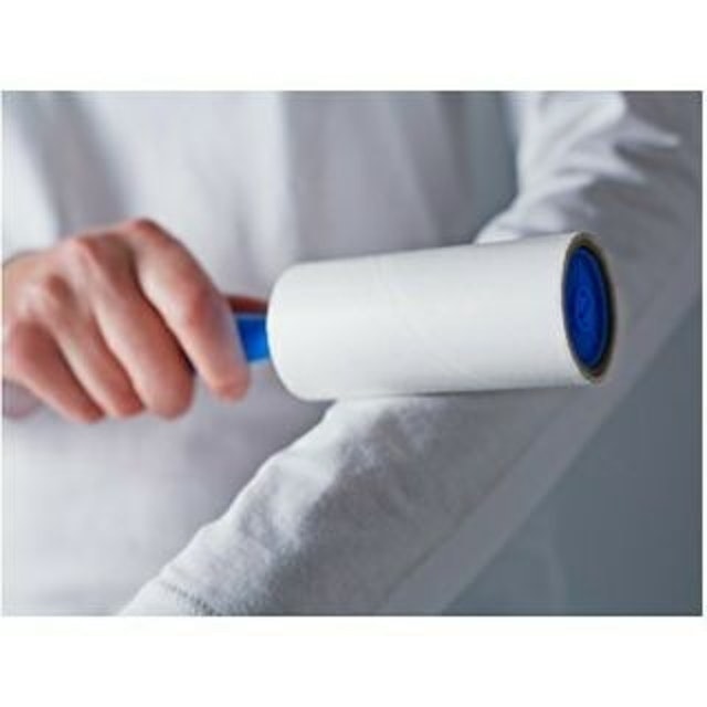 Cây Lăn Bụi Bastis 2