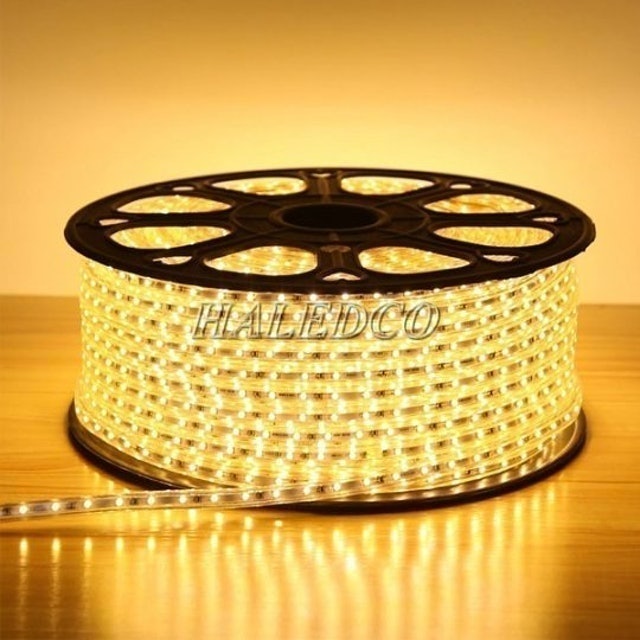 Dây Đèn LED Ngoài Trời HALEDCO  2