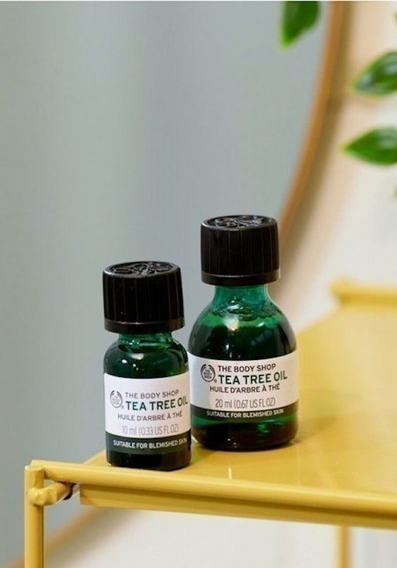 Tinh Dầu Tràm Trà Tea Tree Oil 3