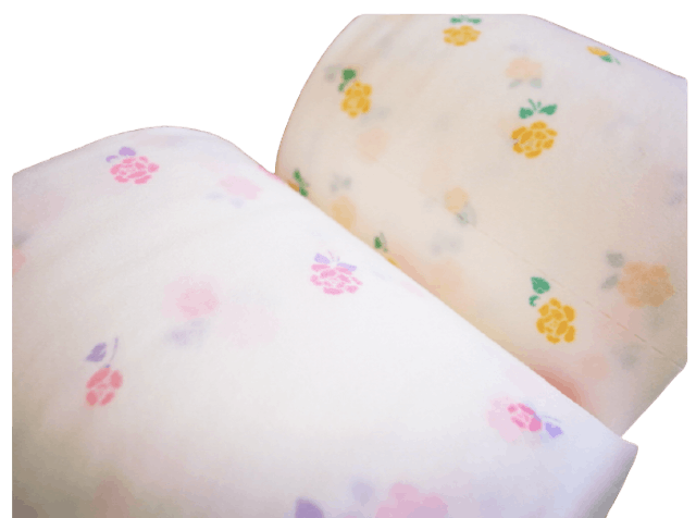 Giấy Vệ Sinh Eglantine  2