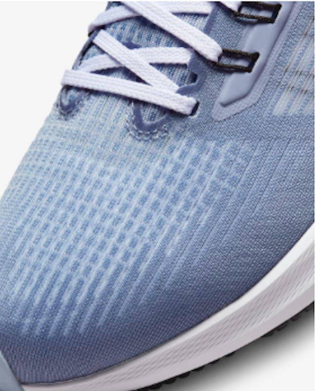 Giày Nike Air Zoom Pegasus 39 4