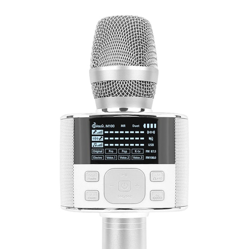 Mic Karaoke 2