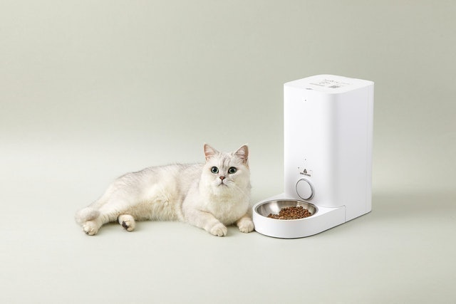 Máy Cho Chó Mèo Ăn Tự Động Fresh Element Mini 4