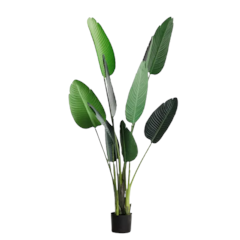 Cây Chuối Cảnh Giả 160cm