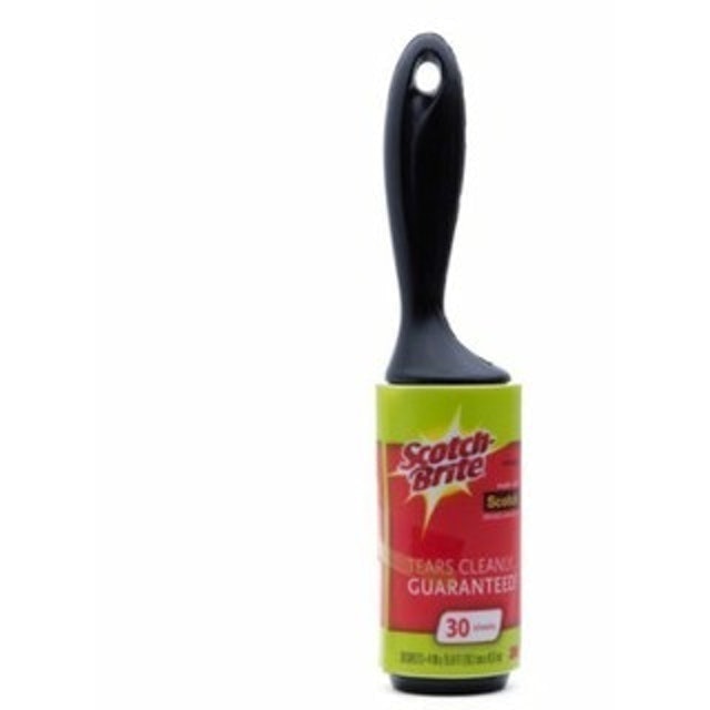 Cây Lăn Bụi Scotch Brite 2