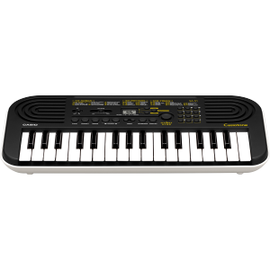 Đàn Organ Cho Bé Casio 1