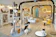 Cafe Mèo CATFE 1
