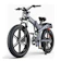 ENGWE Xe Đạp Trợ Lực Điện ENGWE X26 1