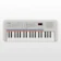 Yamaha Đàn Organ Cho Bé Yamaha 1