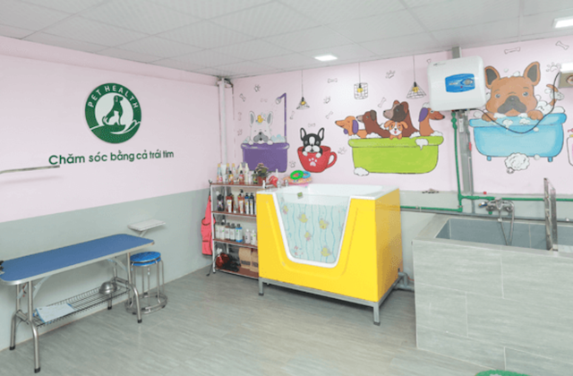 [2024] Top 10 Spa Thú Cưng ở Hà Nội tốt nhất hiện nay (Kimi Pet, Shiny Pet, J & Pet) 5