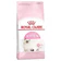 Royal Canin Hạt Cho Mèo Con Royal Canin Kitten 1