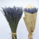 OEM Hoa Lavender Khô 1