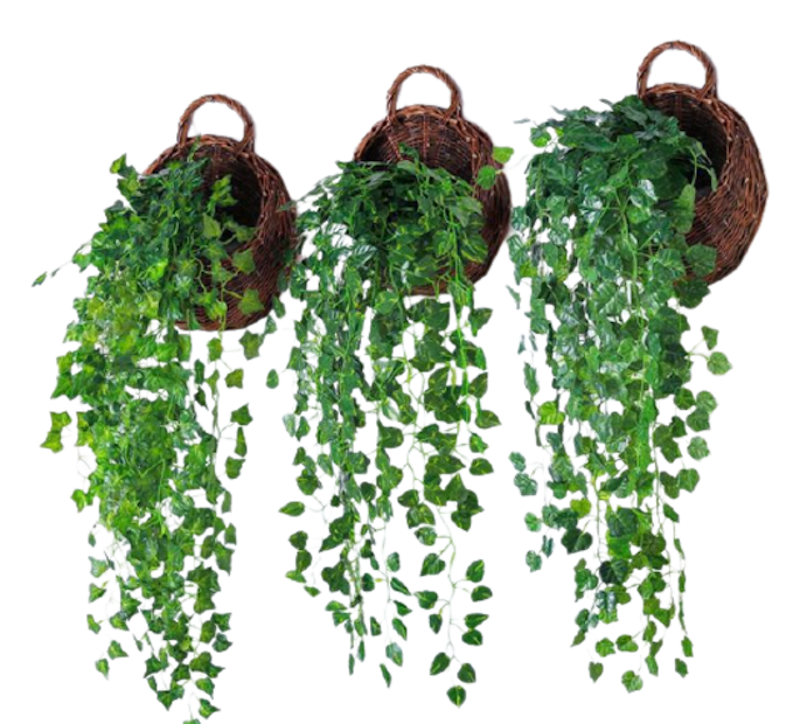 Cây Thường Xuân Giả Treo Tường 2