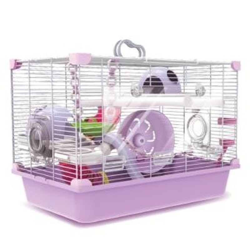 Lồng Thế Giới Oải Hương 2