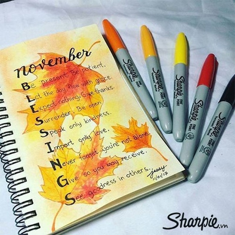 Bút Lông Màu Sharpie Fine Point 3