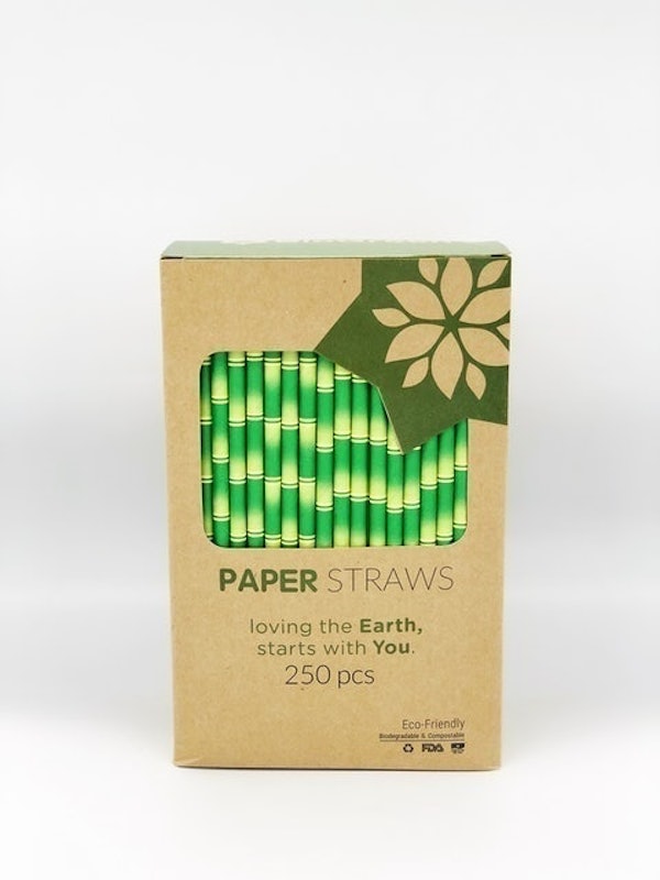 Ống Hút Giấy Biogreen 1