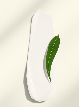 Sữa Dưỡng Thể Khuynh Diệp & Bạc Hà Cocoon 2