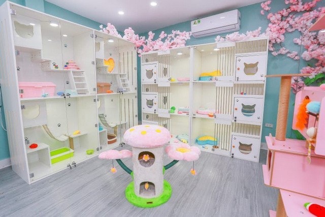 [2024] Top 10 Spa Thú Cưng ở Hà Nội tốt nhất hiện nay (Kimi Pet, Shiny Pet, J & Pet) 1