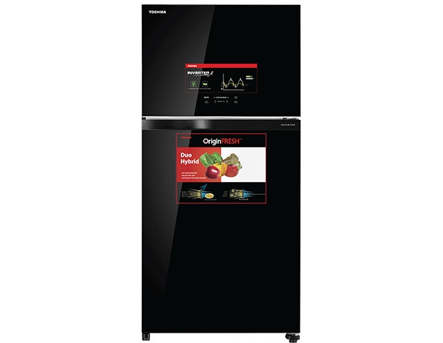Top 7 Tủ Lạnh Toshiba tốt nhất hiện nay (Tư vấn mua) 3
