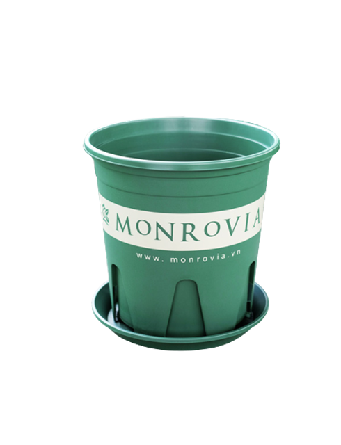 Chậu Hoa Monrovia 2