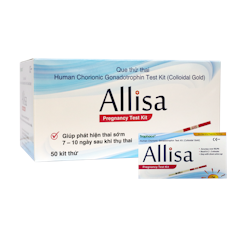 Que Thử Thai Allisa