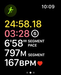 Đồng Hồ Thông Minh Apple Watch Ultra GPS + Cellular 4