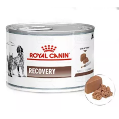 Pate Royal Canin Recovery